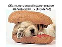 Жизнь есть способ существования белковых тел
