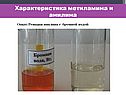 Амины и анилин