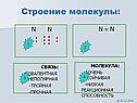 Строение молекулы:
