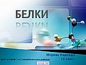 Белки