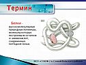Термин