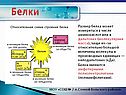 Размер белка может измеряться в числе аминокислот или в дальтонах