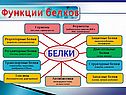 Функции белков