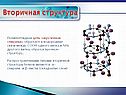 Вторичная структура