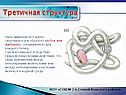 Третичная структура