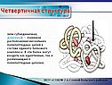 Четвертичная структура