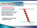 Типы строения белков