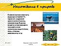Нахождение в природе