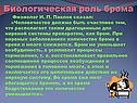 Биологическая роль брома