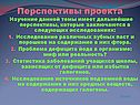 Перспективы проекта