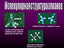 Молекулярная структура алканов