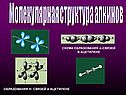 Схема образования