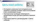 Цель моей работы: