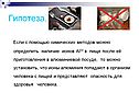 Гипотеза