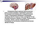 Алюминий играет важную биологическую роль в жизни человека