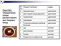 Опыт №1