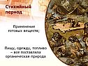Стихийный период