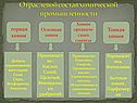 Отраслевой состав химической промышленности