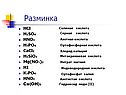 Разминка
