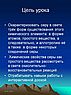 Химические свойства