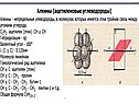 Химия Алкины