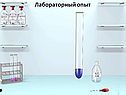 Химия Фенолы