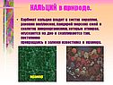 КАЛЬЦИЙ в природе