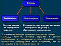 Пентозы, гексозы -- не подвергаются гидролизу