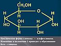 Циклическая форма глюкозы - альфа-глюкоза