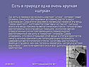 Есть в природе одна очень хрупкая «штука»…