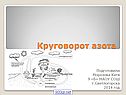 Круговорот азота