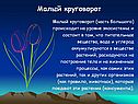 Малый круговорот