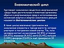 Биохимический цикл