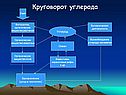 Круговорот углерода