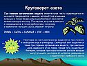 Круговорот азота
