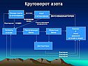 Круговорот азота