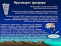 Круговорот фосфора