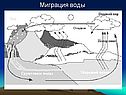 Круговорот элементов в природе