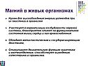 Магний в живых организмах