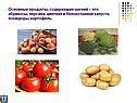 Основные продукты, содержащие магний – это абрикосы, персики, цветная
