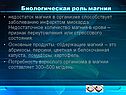Биологическая роль магния