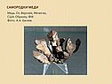 Самородки меди
