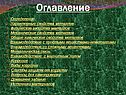Оглавление
