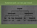 Химический состав растений