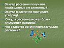 Откуда растения получают необходимые им элементы