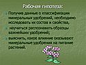 Рабочая гипотеза: