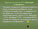 Задание для группы №3 «Молодой огородник»