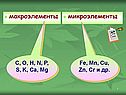 Макроэлементы