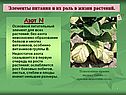 Азот N Основной питательный элемент для всех растений: без азота