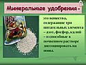 Минеральные удобрения -